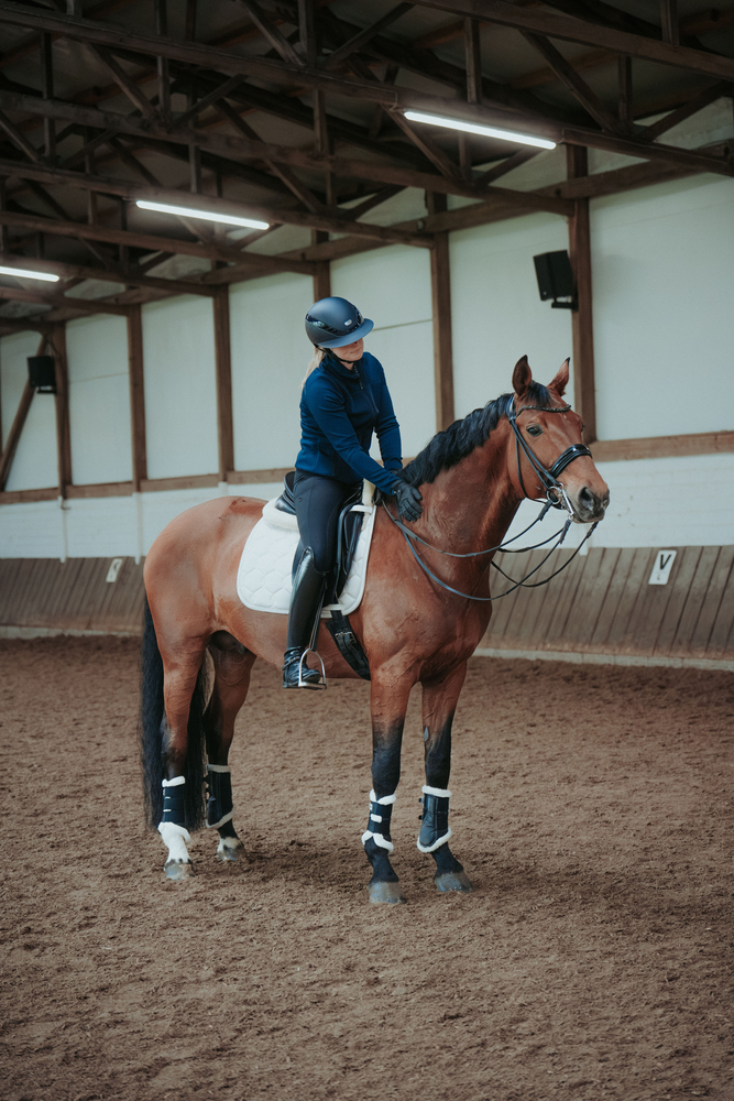 Pferdesport, Pferd, Säugetier, Person, Handschuh
