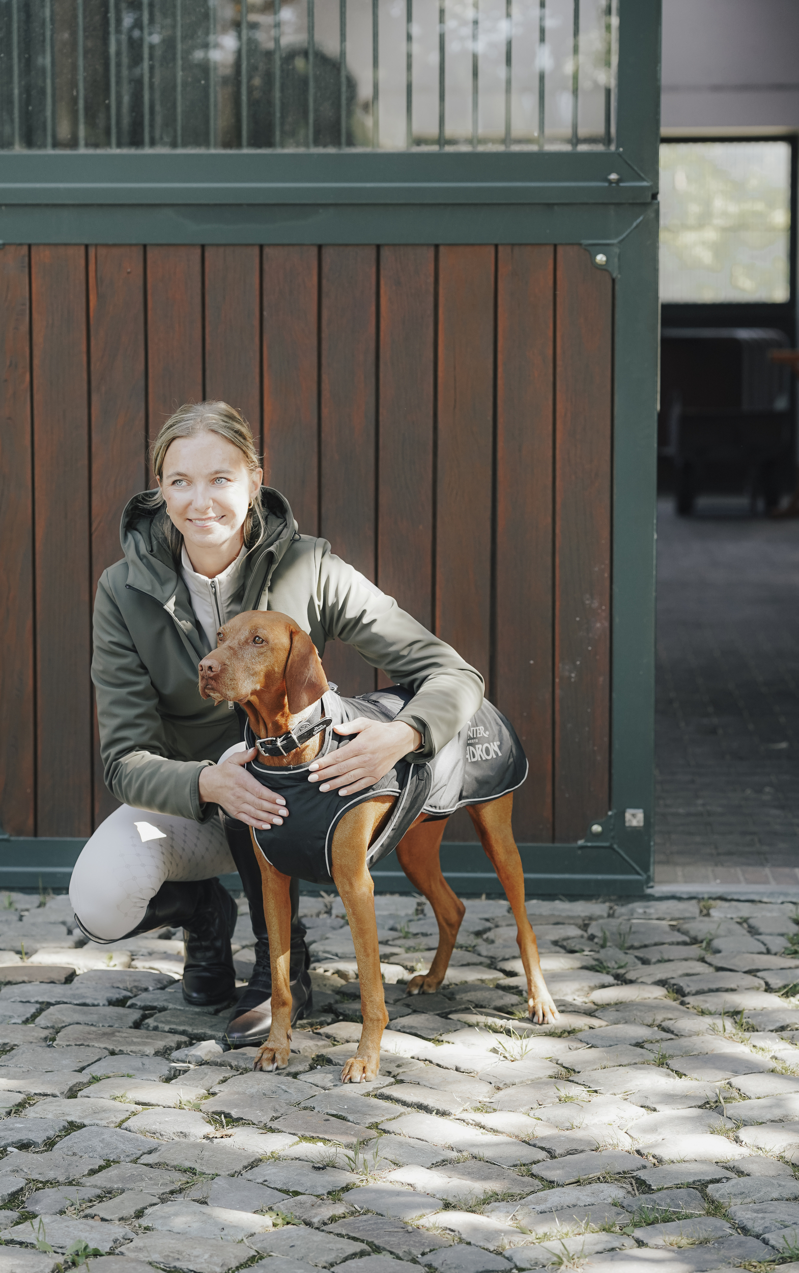 Hund, Hunde-Vest, Outdoor, Braun, Boden, Kapuze?, Hund, Windhund, Veste, Jacke, Hundewendung