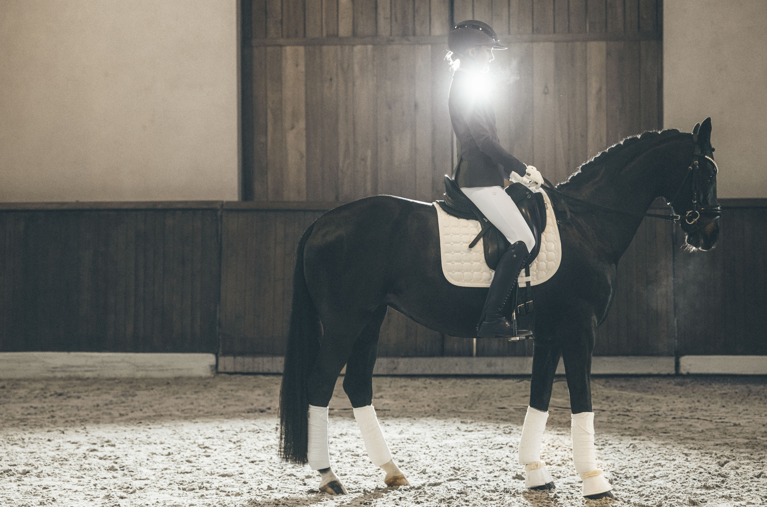 Reiten, Pferd, Sattel, Stiefel, Bandagen, equestrian, pferd, ausrüsten, reiten, helm, Pferd, Reiter, Reitsport, Sattelpad, Helm