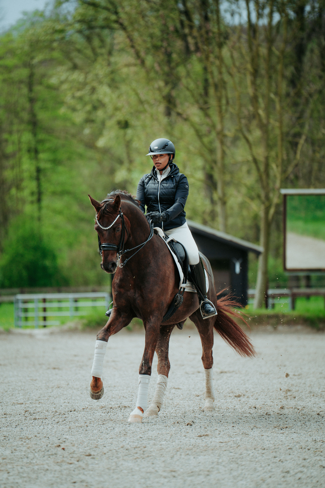 Pferdesport, Pferd, Säugetier, Person, Leute
