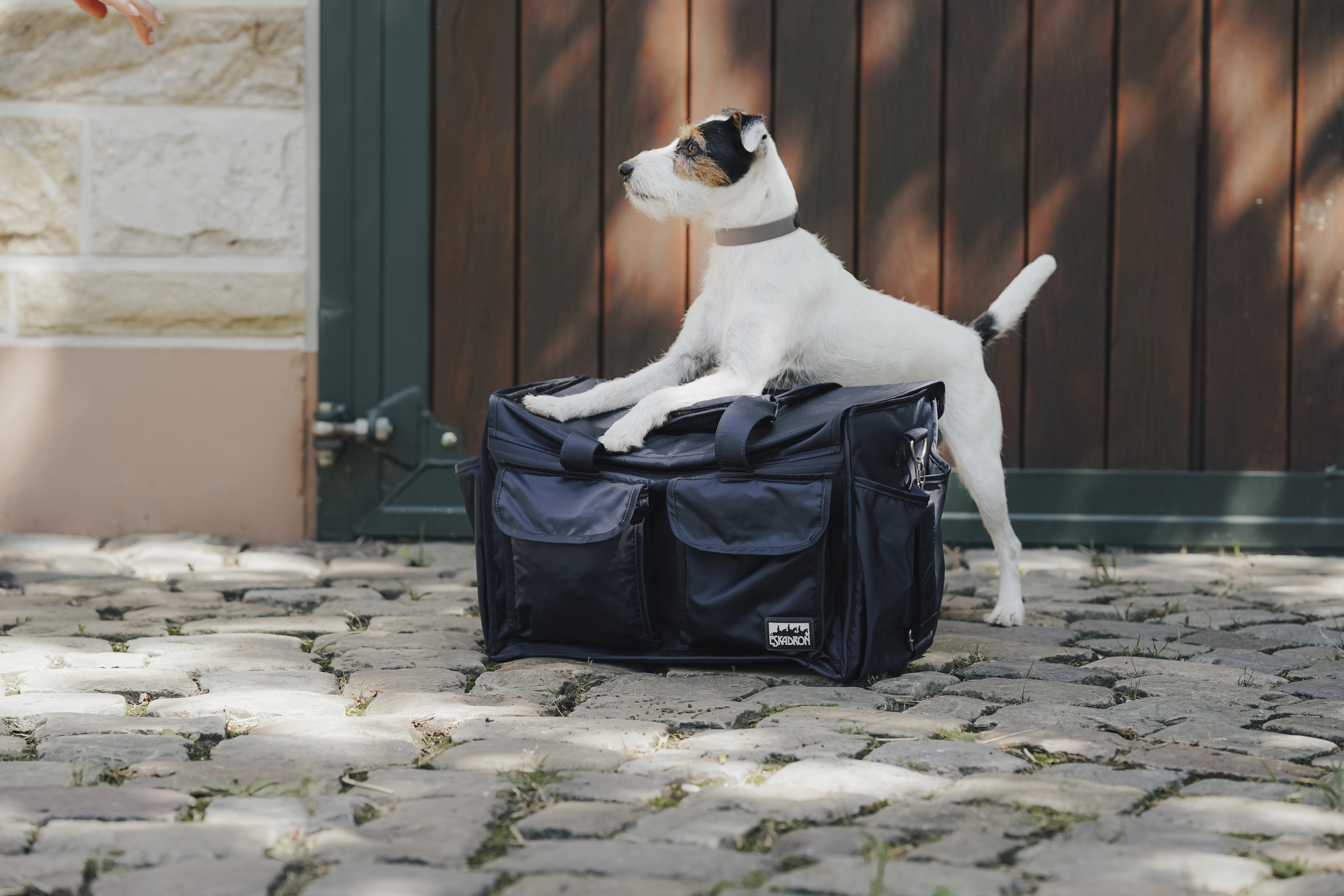 Hund, Hundeausrüstung, Hundetragetasche, Transporttasche, Nagel?, hund, haustier, transporttasche, reisetasche, tragen