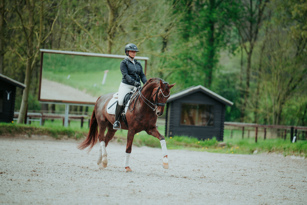 Pferdesport, Pferd, Säugetier, Person, Leute