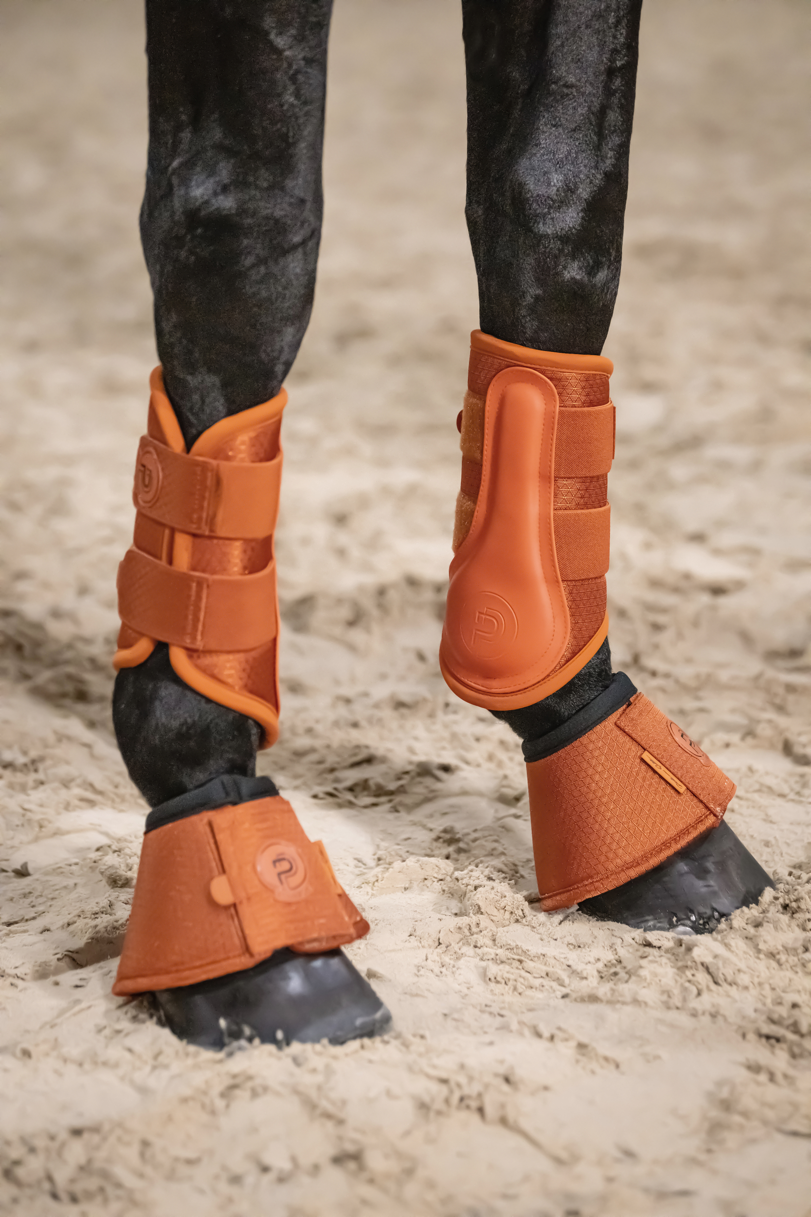 Equestre Stiefel, Pferdebeinschutz, Schutzhülsen, orange, synthetisches Leder, Pferdebeinschutz, Beinschoner, Stallausrüstung, 橙, Sandunterlage